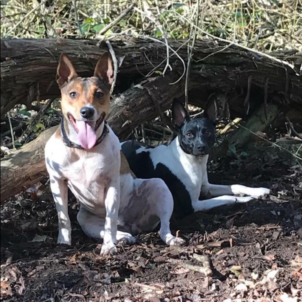 Meet your Posher, Joshua